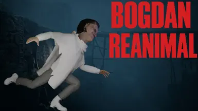 博格丹·里阿尼阿尼奥