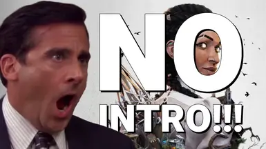 无开场(跳过启动 - Splash 视频)