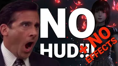 无HUD-无效果