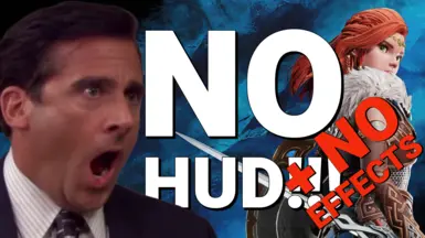 无HUD-无效果
