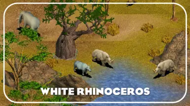 白犀牛(新物种)