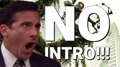 无开场（跳过启动 - Splash 视频）