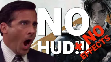 无HUD-无效果