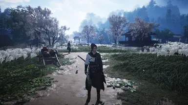 WWM的超级棒重制