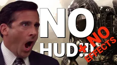 无HUD-无效果