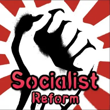 社会主义改革