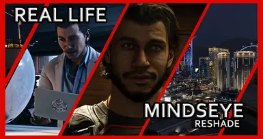 现实生活 MindsEye Reshade 作者:Scottyus1