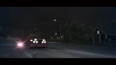 DiRT 3 移除回放水印