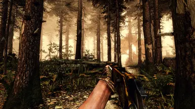 意大利西部片 Reshade 预设