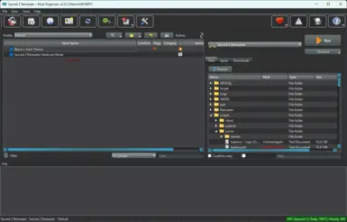 Mod Organizer 2 - 插件