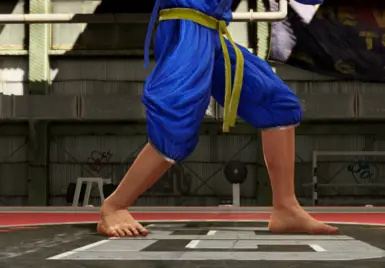 影道具的赤脚模组