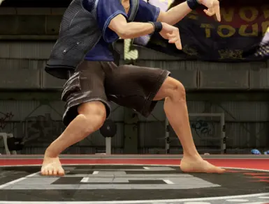 狮子物品的赤脚改装