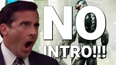 无开场(跳过启动 - Splash 视频)