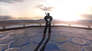 无外套DMC4但丁模组