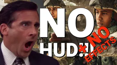 无HUD-无效果