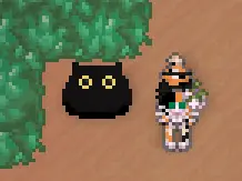 可爱的猫咪毛绒玩具