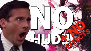 无HUD-无效果