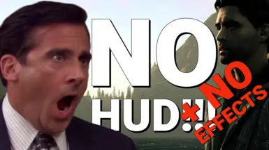 无HUD-无效果