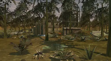 小森林 - 双人地图