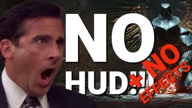 无HUD-无效果