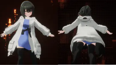 膝盖高socks_D型阿尔坎德战斗人形