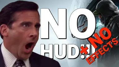 无HUD-无效果