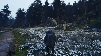 白花田 - 赛农湖