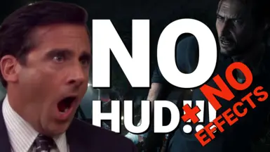无HUD-无效果