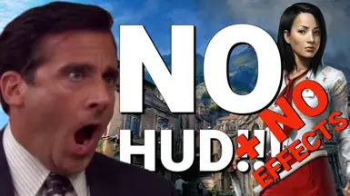 无HUD-无效果