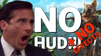 无HUD-无效果