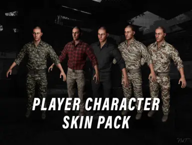 尼克的球员皮肤包