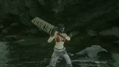 测试模组胜过角色