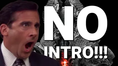 无开场(跳过启动 - Splash 视频)