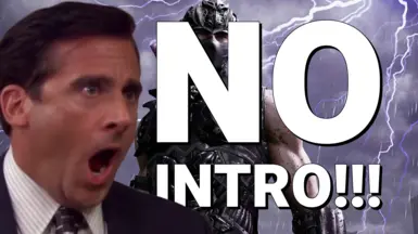 无开场(跳过启动 - Splash 视频)