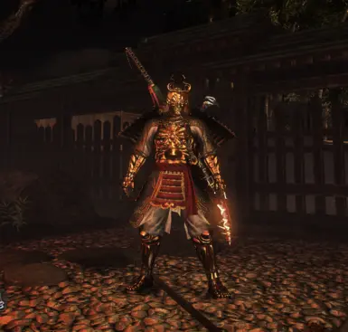 金版仁王护甲豁免