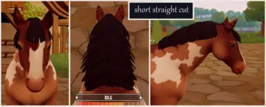 龙的双面鬃毛模组