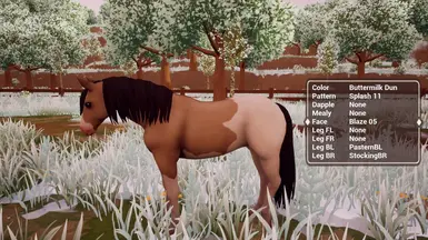 这是什么样的外套