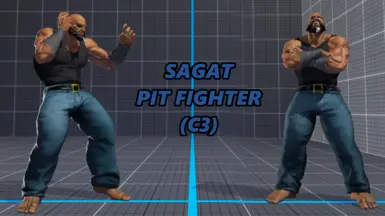 萨加特坑斗士(C3)