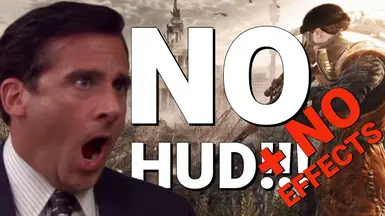 无HUD-无效果
