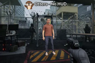 无HUD（沉浸式）