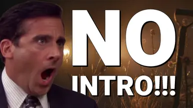 无开场（跳过启动 - Splash 视频）