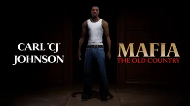 卡尔·约翰逊（首席大法官）