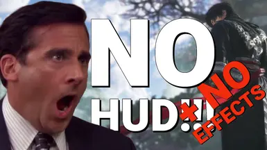 无HUD-无效果