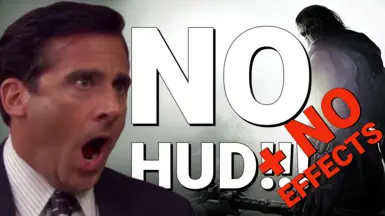 无HUD-无效果
