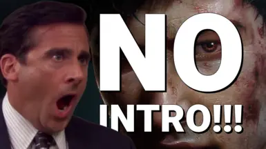 无开场（跳过启动 - Splash 视频）