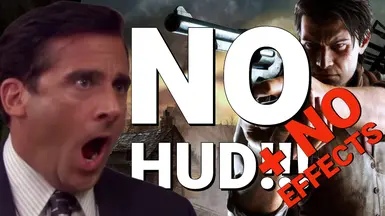 无HUD-无效果