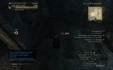 Spiders_begone-DDON -