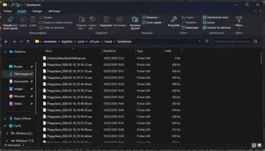 波比玩耍时间 第五章 100%存档