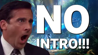 无开场（跳过启动 - Splash 视频）