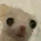 无限弹药